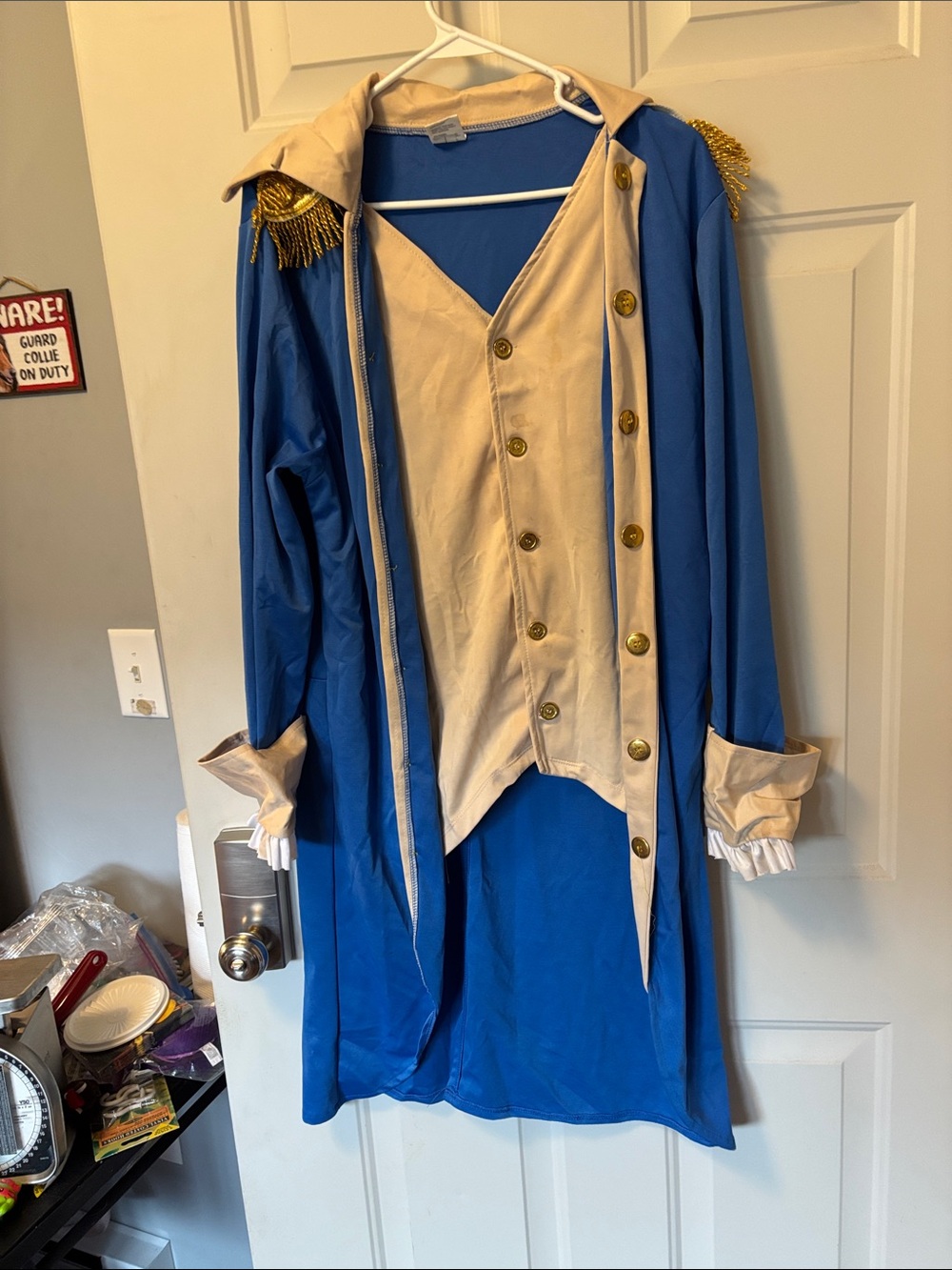 Adult George Washington Costume